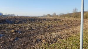 Bos tegen de vlakte voor Floriade.