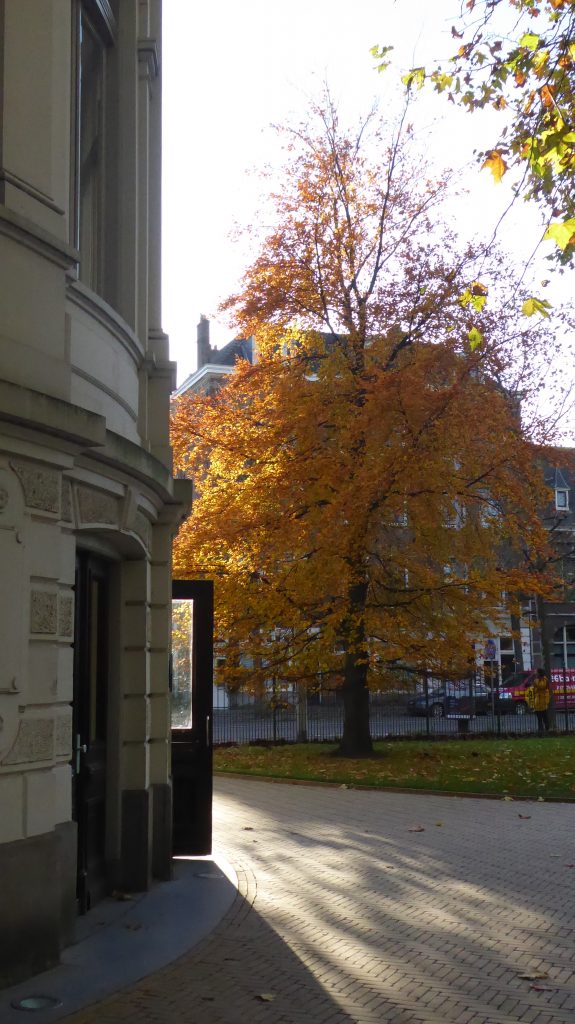 Herfst in Artis